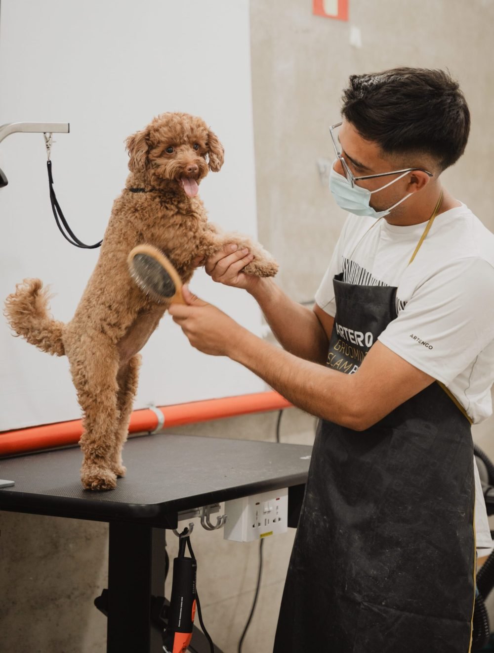 EntreAlgodones-137 EntreAlgodones-137